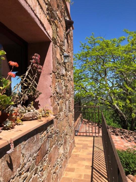 Bed And Breakfast La Maison De Nathalie Les Mayons Luaran gambar